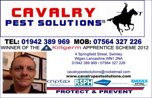Need Solutions for your Pest Problem? Send for The Cavalry!